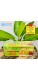Màng bọc thực phẩm ECOOK 500m không hộp